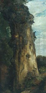 Study of a Tree ('Study from Nature') by John Linnell