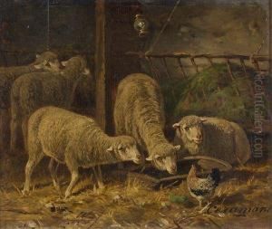 Poule Et Moutons Dans Une Bergerie