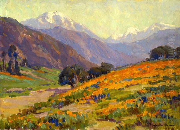 California Poppies - view 1