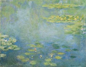 Waterlilies