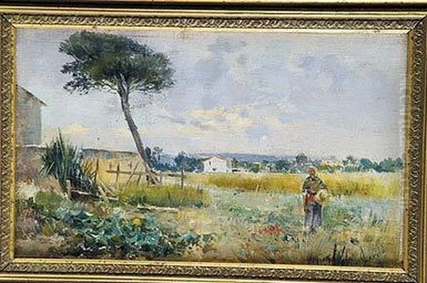 Paisaje De Mallorca - view 1
