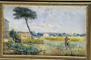 Paisaje De Mallorca