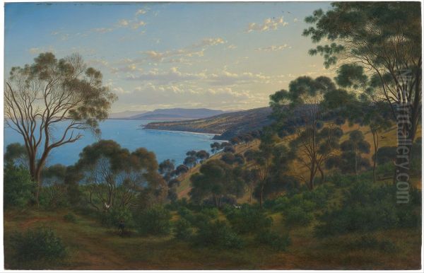 Dandenong Ranges from "Beleura" - view 1
