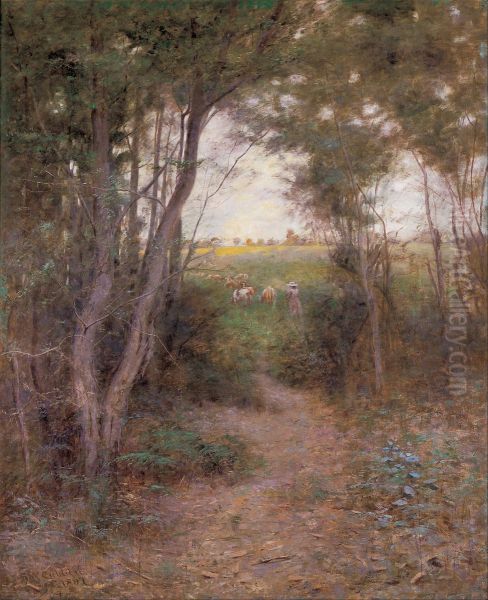 A ti-tree glade - view 1