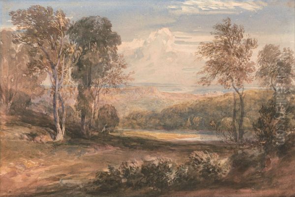 On the Wye - view 1