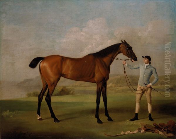 Molly Long-legs with her Jockey - view 1