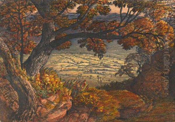 The Weald of Kent - view 1