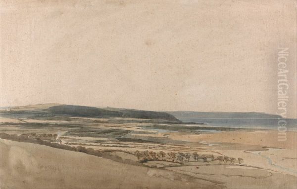 Estuary on the River Taw, Devon - view 1