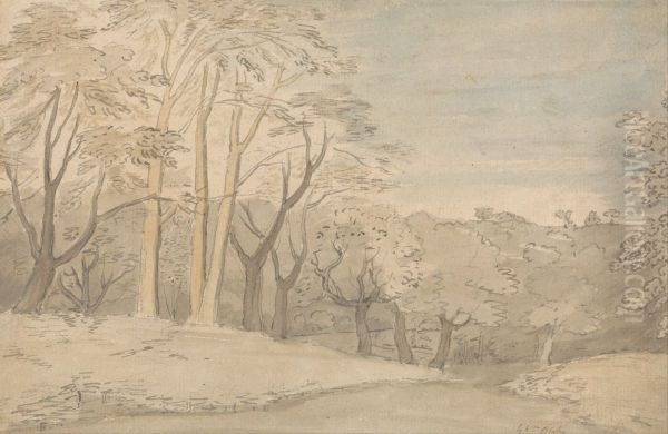 A Woody Landscape - view 1