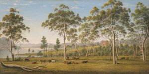 Mr Robinson's house on the Derwent, Van Diemen's Land Mr Robinson's house on the Derwent, Van Diemen's Land
