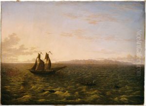 The Island of Madeira
