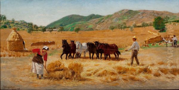 Harvest in Anticoli - view 1