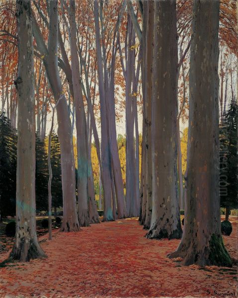 Avenue of Plane Trees - view 1