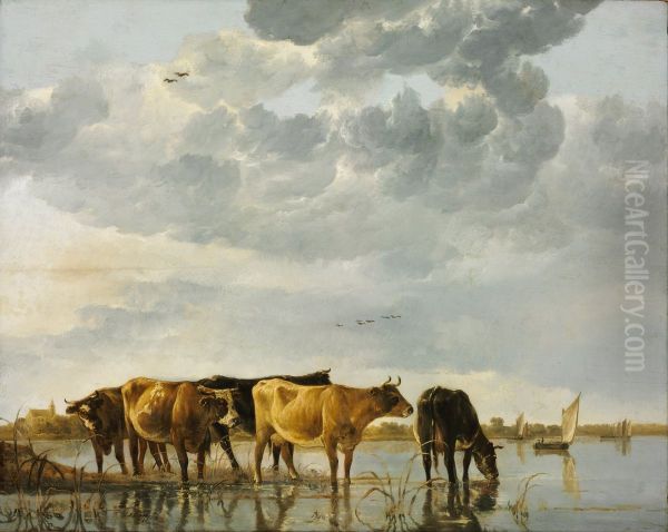 Cattle in the water - view 1