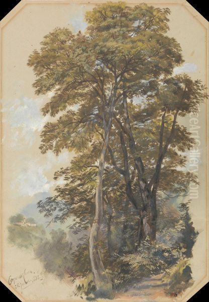 Corpo di Cava, 28 June 1838 - view 1