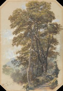 Corpo di Cava, 28 June 1838 by Edward Lear