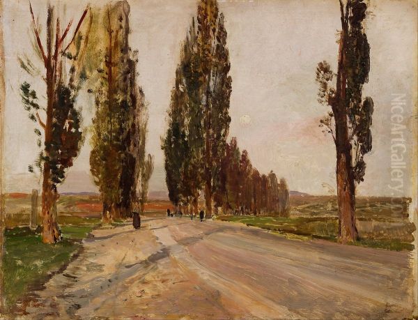 Deutsch:Pappelallee bei Plankenberg - view 1