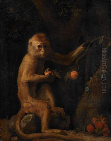 A Monkey - view 1