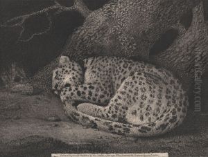 A Sleeping Leopard by George Stubbs