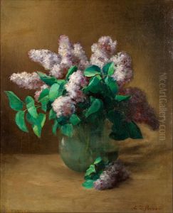 Lilacs Lilacs