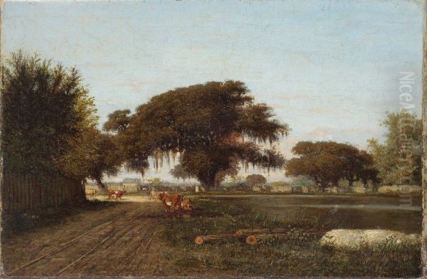Farm in St Tammany - view 1