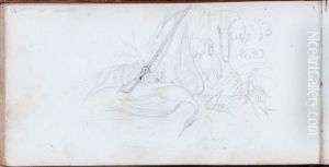 [Bush scene with birds, musket and gunpowder flask]