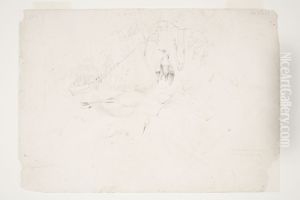 The 'Koetuku' or White Heron and Paradise Duck by Charles Heaphy