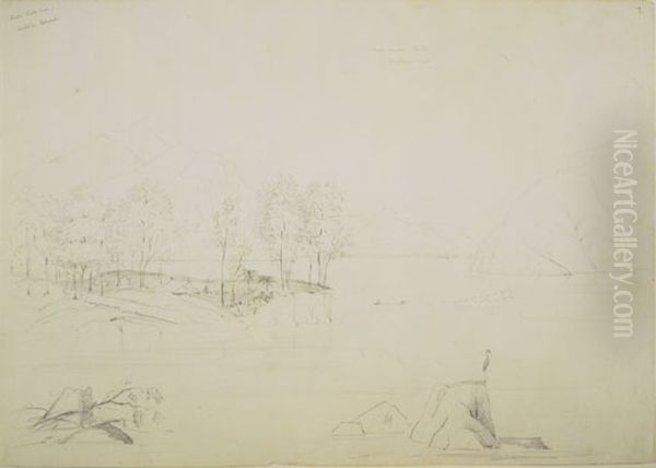 Lake Rotorua, Middle Island - view 1