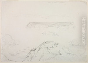 Mana or Flat Id. Cook Straits by Charles Heaphy