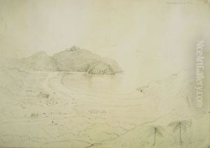 Arataonga Bay of Plenty by Charles Heaphy