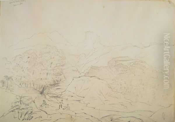Waitekuri Valley Coromandel - view 1