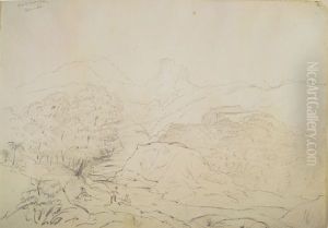 Waitekuri Valley Coromandel