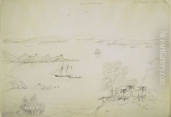 The Thames from Waihike [Waiheke] - view 1