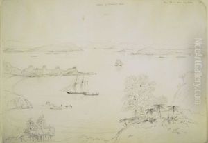 The Thames from Waihike [Waiheke]
