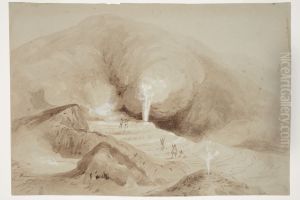 [Intermittent boiling spring near Rotorua] by Charles Heaphy