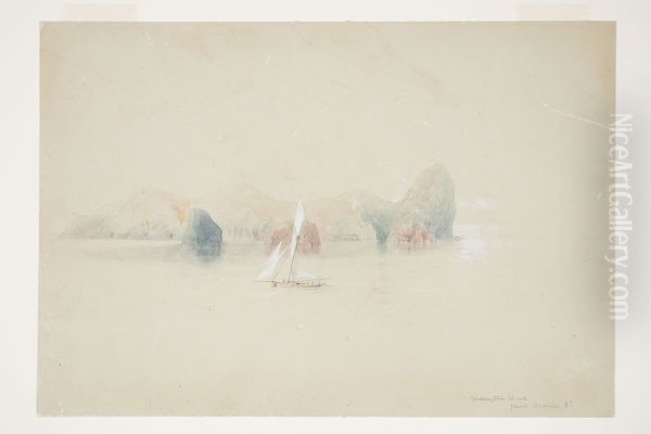 Wellington Head, Great Barrier Id. - view 1