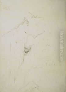 Albatross Nest, Chatham Island by Charles Heaphy