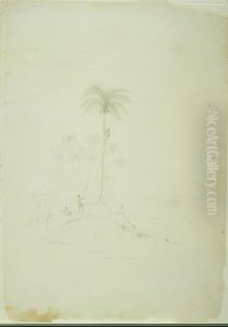 Cocoa Nut Trees. Nuigone, Loyalty Islands by Charles Heaphy