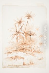 Tropical Vegetation, Loyalty Islands