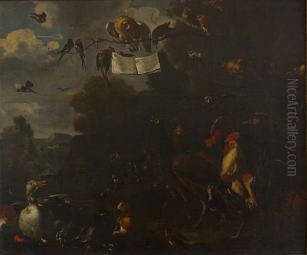 Concert of birds - view 1