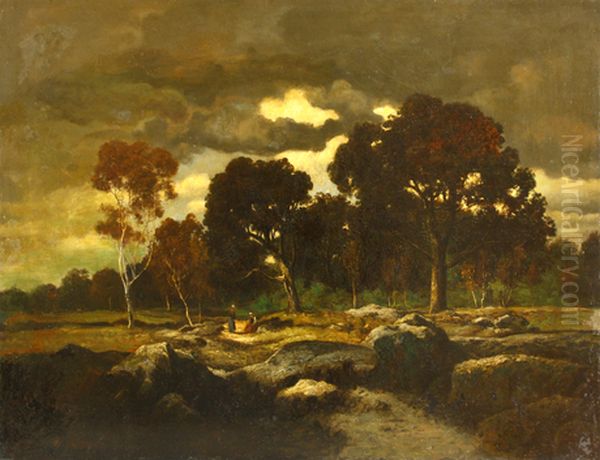 Dusk in a forest - view 1