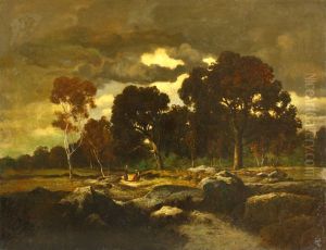 Dusk in a forest