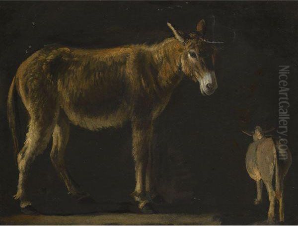 Studies Of A Donkey - view 1