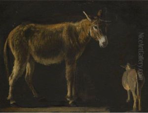 Studies Of A Donkey by Michelangelo Cerqouzzi
