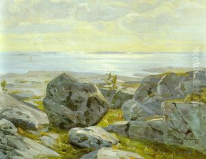 Coast view from Alandia by Victor Westerholm