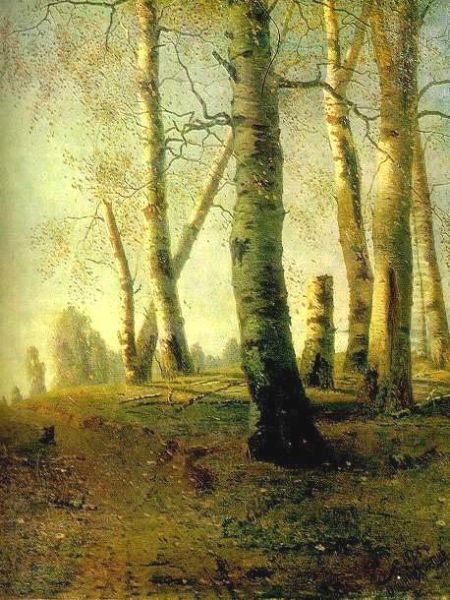 Birch Grove - view 1