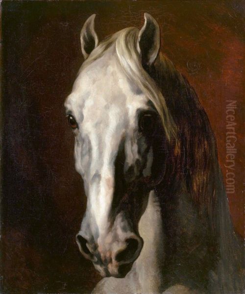 Head of a grey horse - view 1