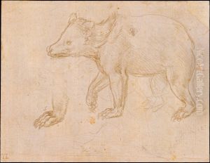 A Bear Walking by Leonardo Da Vinci