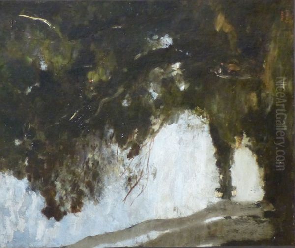 Muse in Undergrowth - view 1