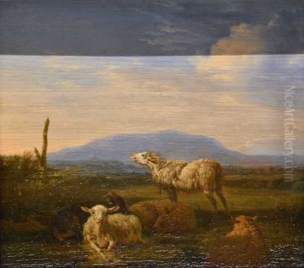 Paysage : moutons et chevres - view 1